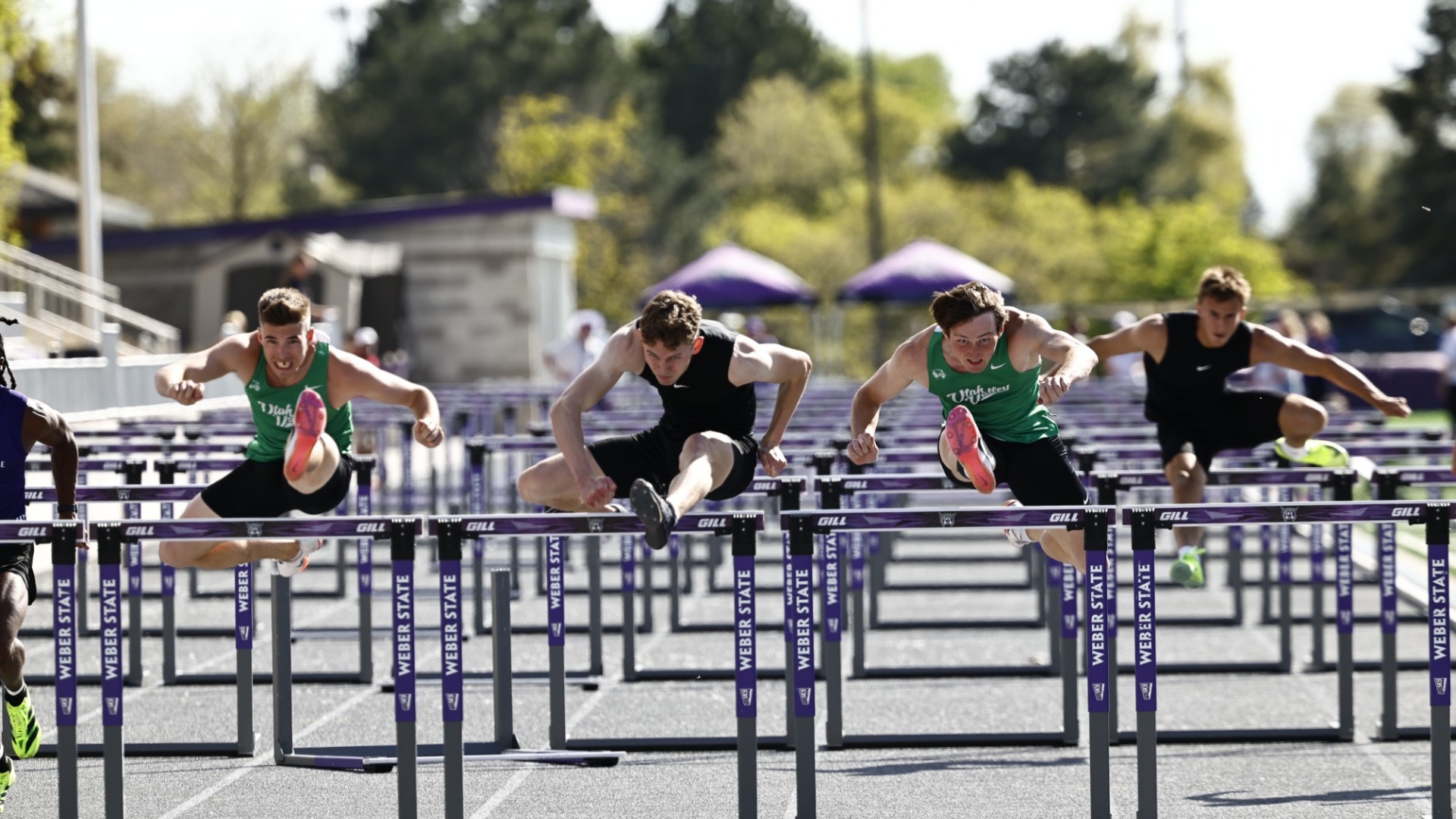 Hurdles at WSU