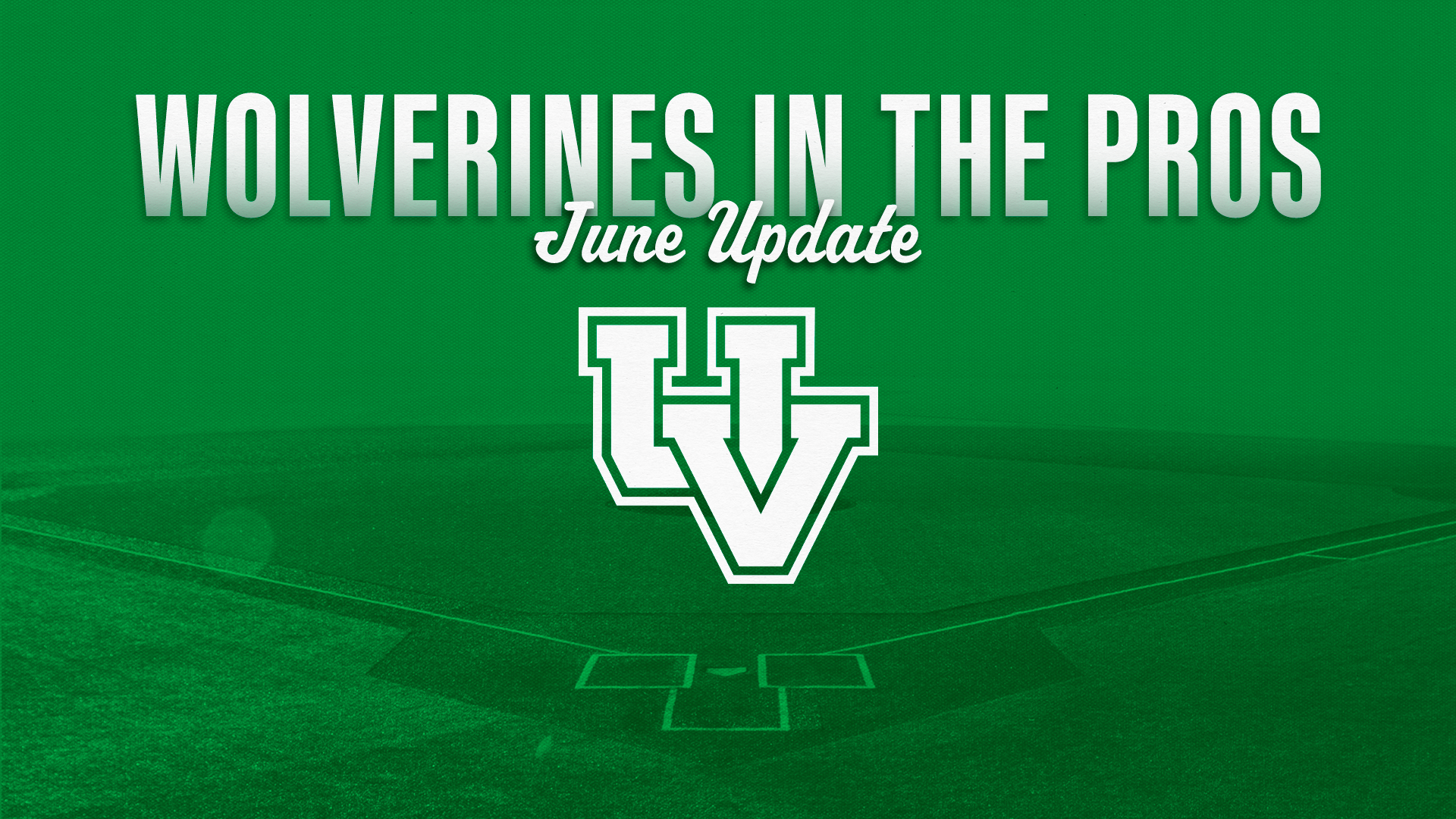 UVU Wolverines in the Pros