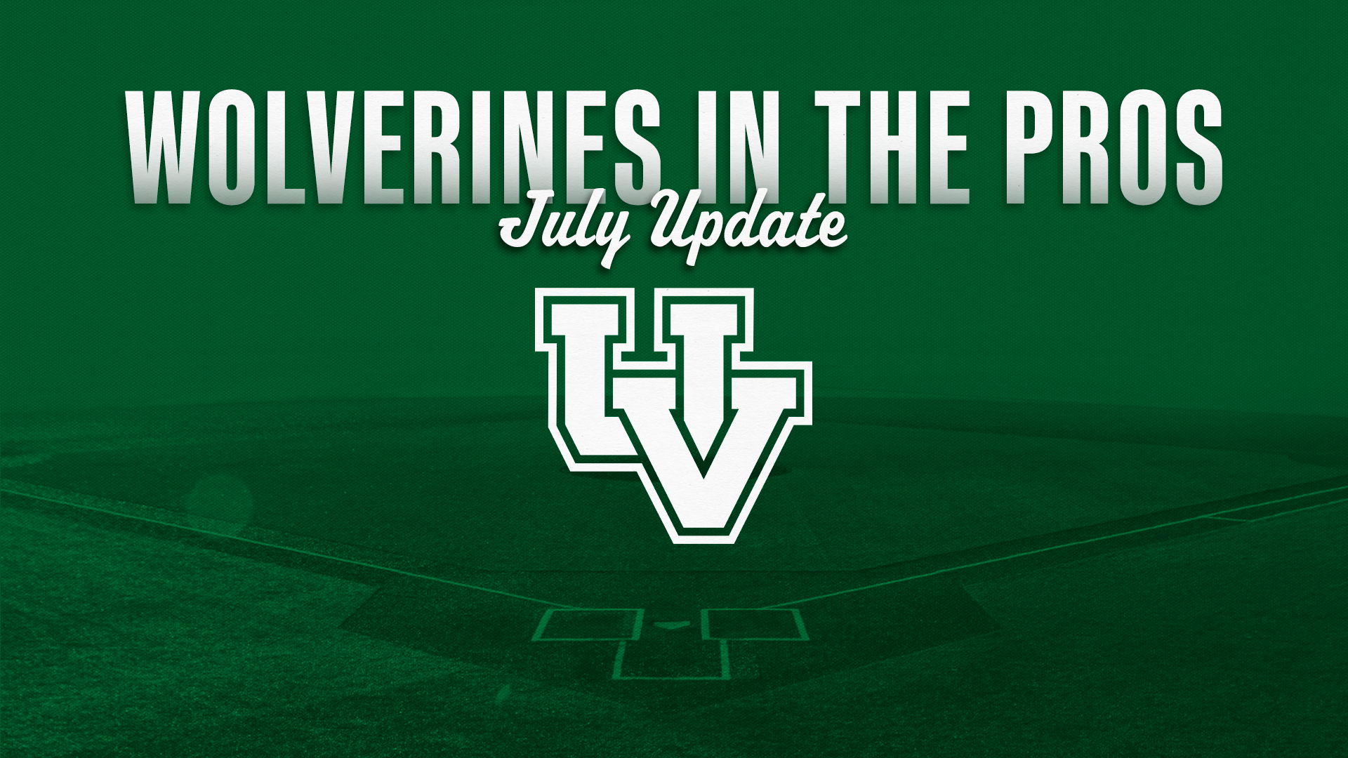 Wolverines in the Pros July