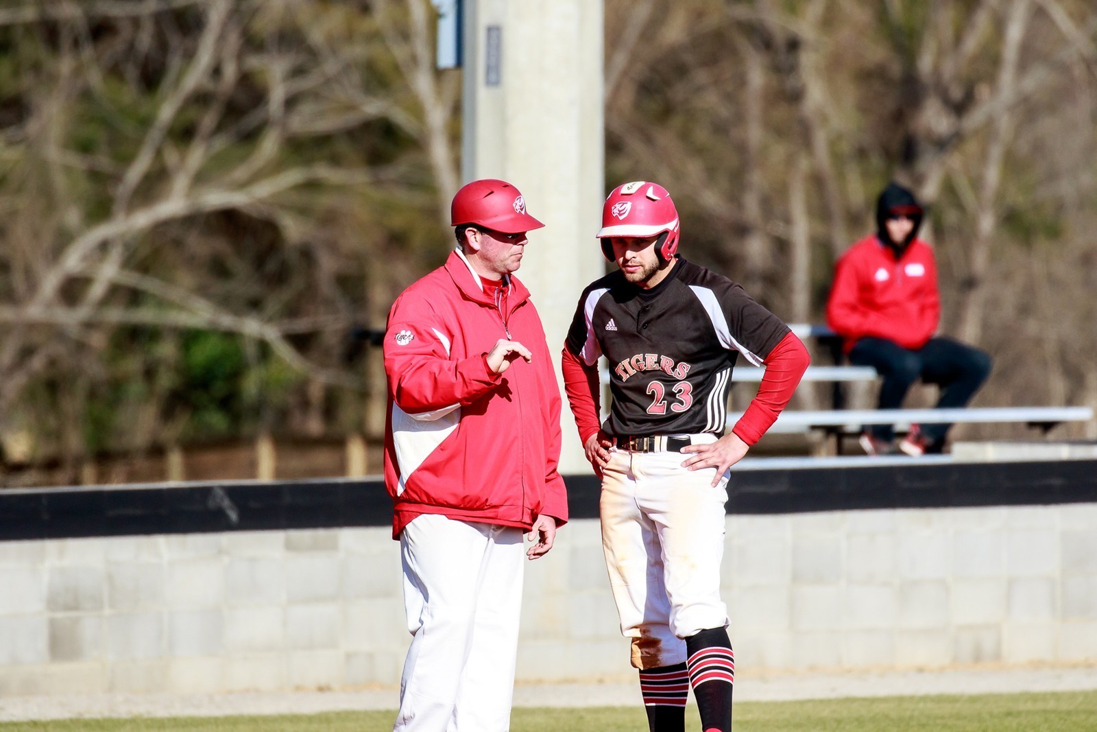 Mitch Holgate Baseball University of West Alabama Athletics