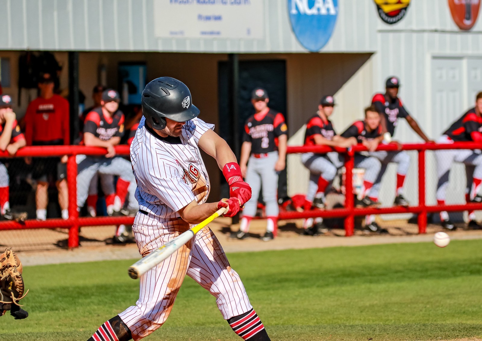 Mitch Holgate Baseball University of West Alabama Athletics