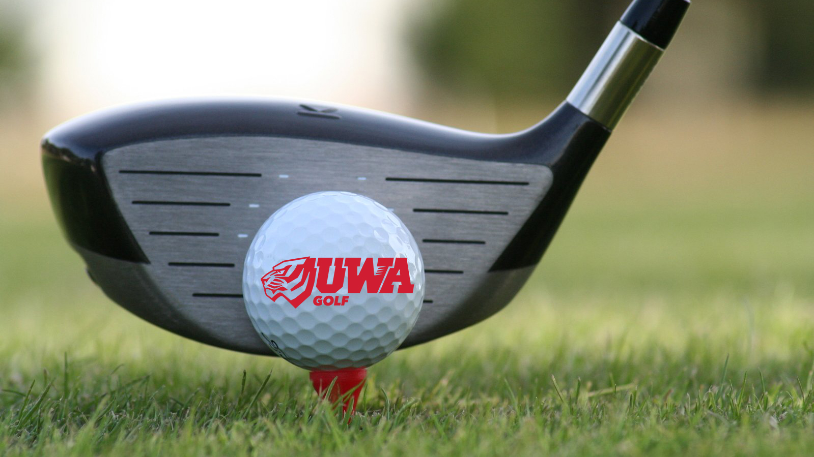 UWA Men's Golf