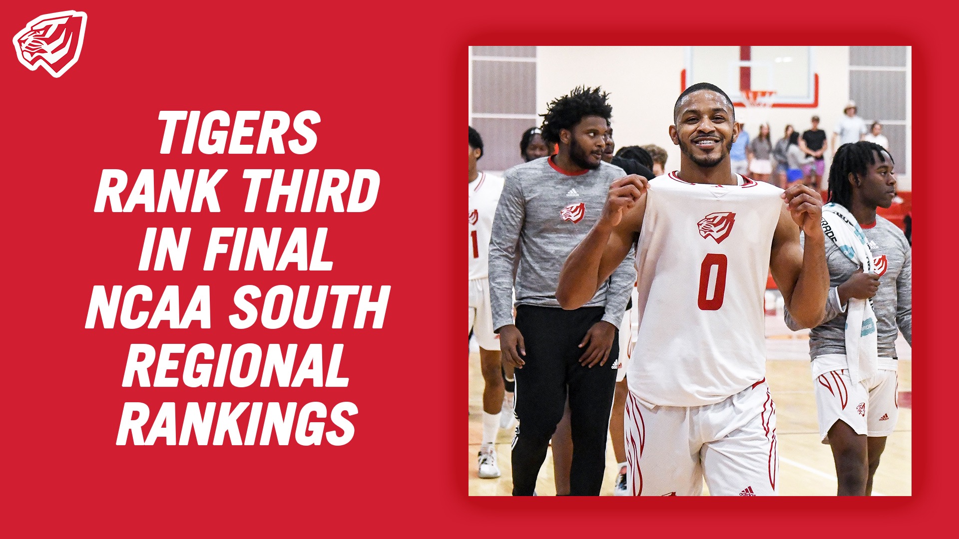 Tigers Rank Third in Final NCAA South Regional Rankings University of