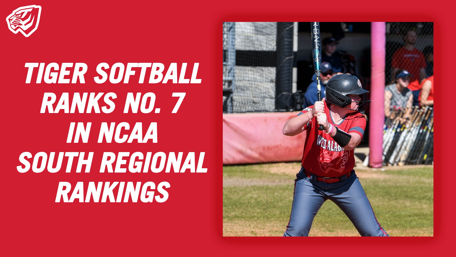 Tiger Softball Ranks No. 7 in NCAA South Regional Rankings University