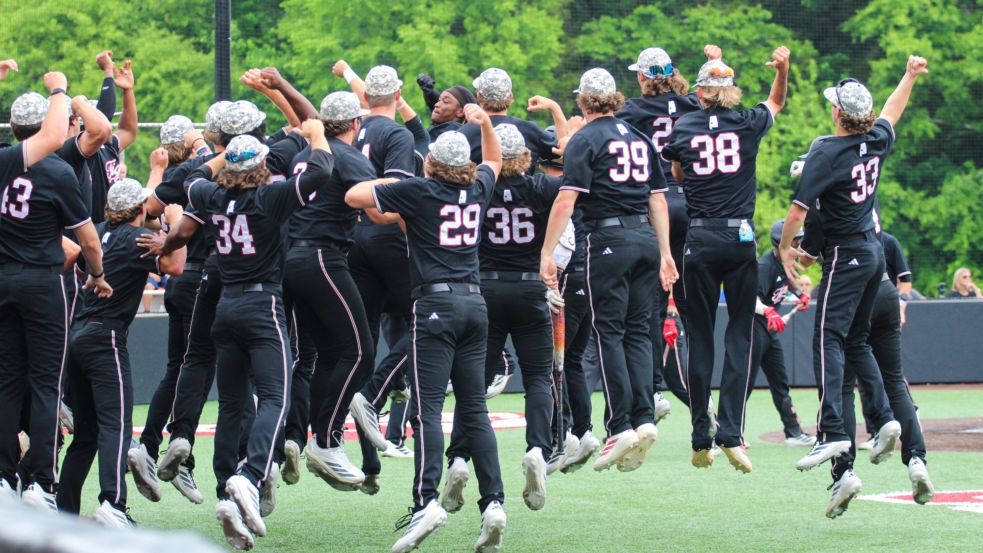 HR Celebration