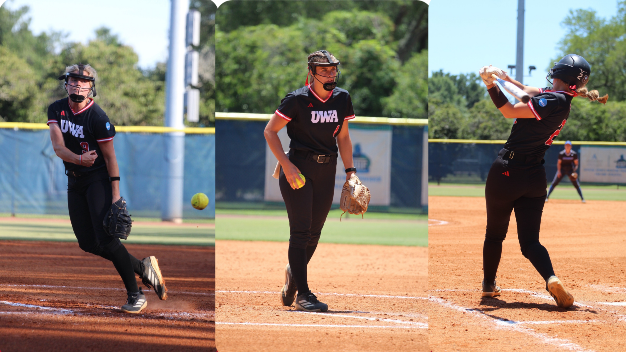 Softball CSC