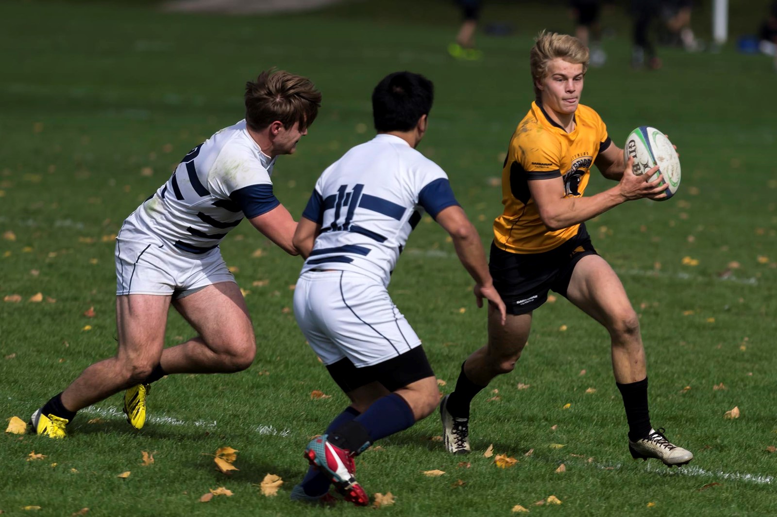 Voralek and Bevington named OUA men's rugby allstars University of Waterloo Athletics
