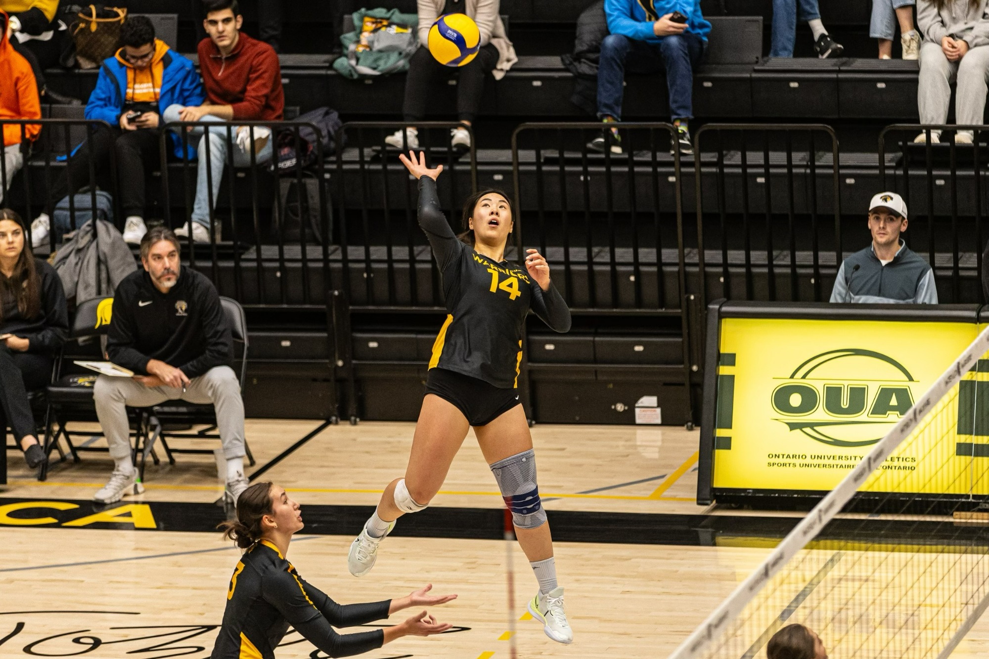 Clean Sweep at the Women's Volleyball Home Opener University of