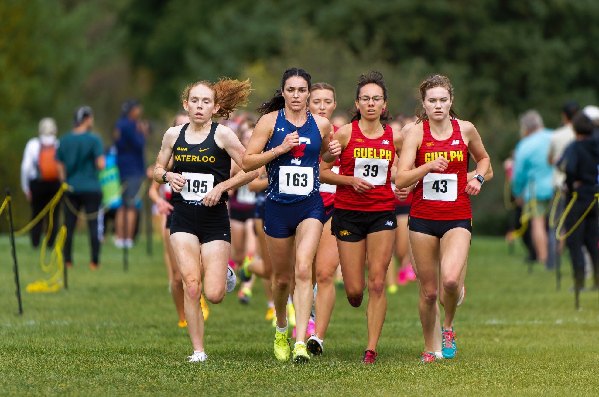 Warrior at the front of the race.