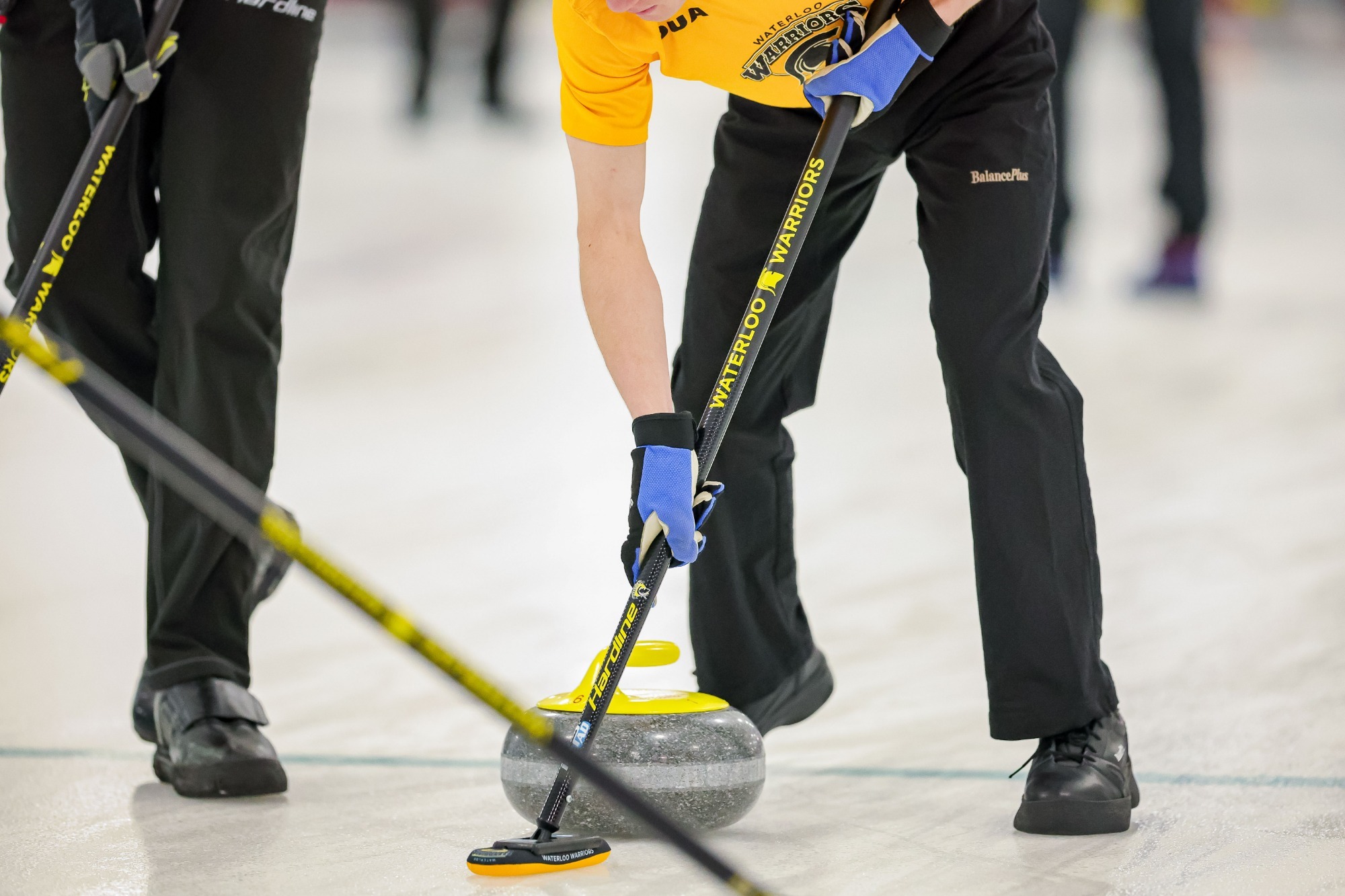 Waterloo curling stick in frame with rock on the ice