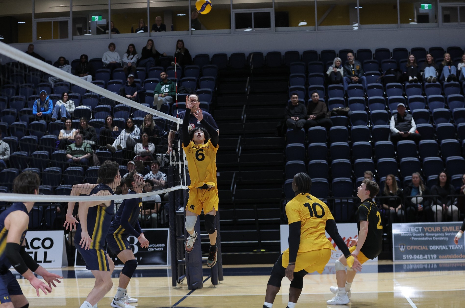 Warrior setting the ball.