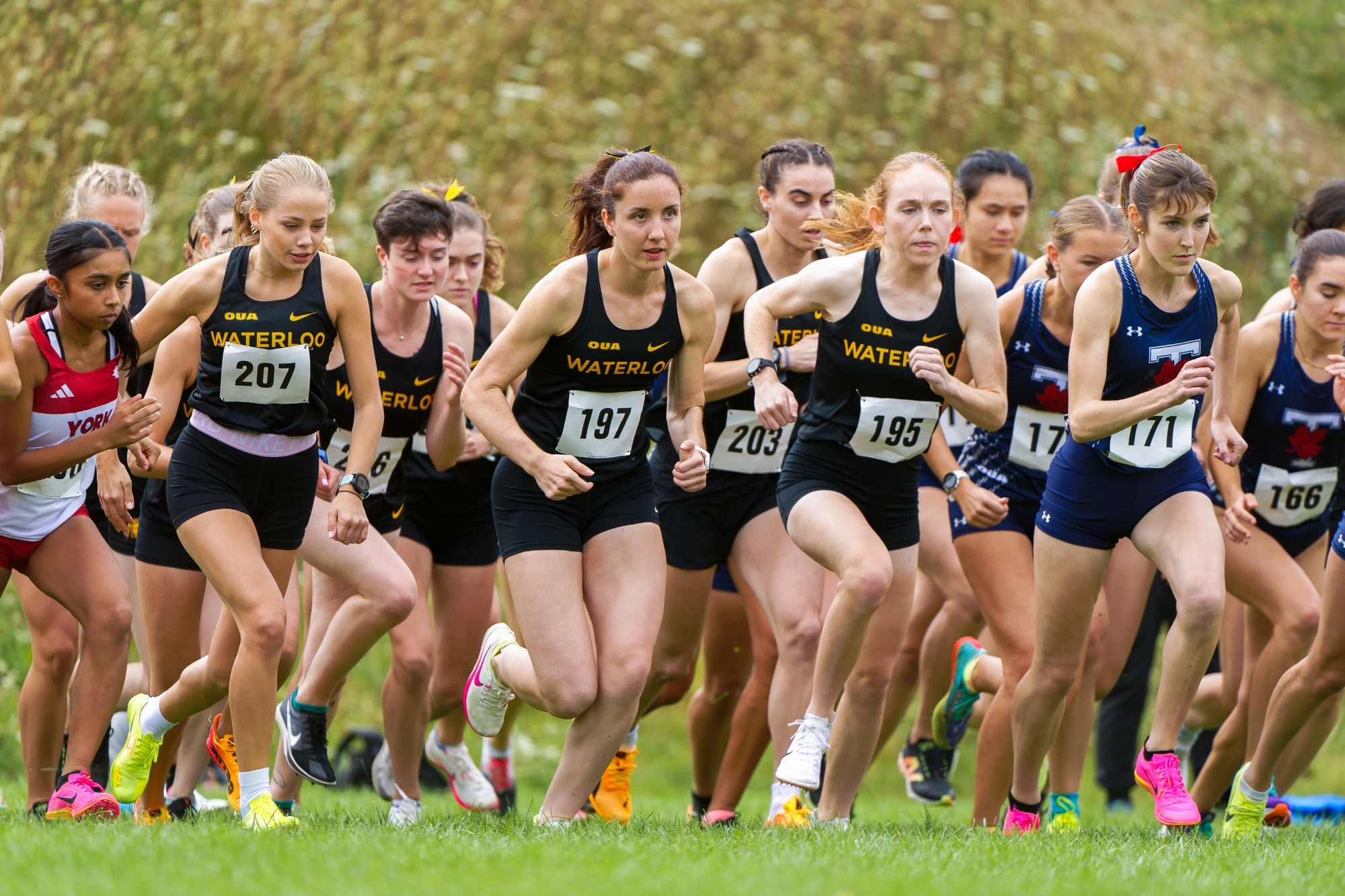 Don Mills Open Cover Photo