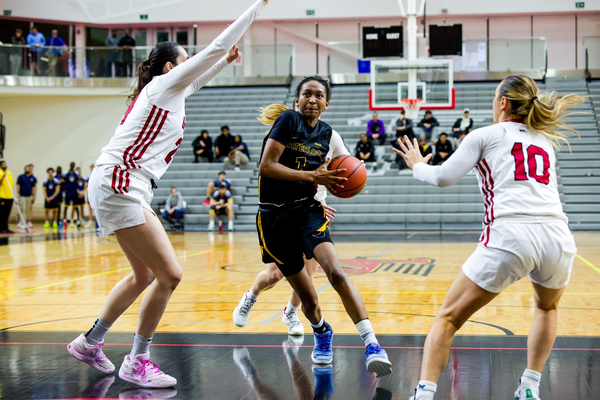 Kymora Stafford goes up for a layup against Guelph