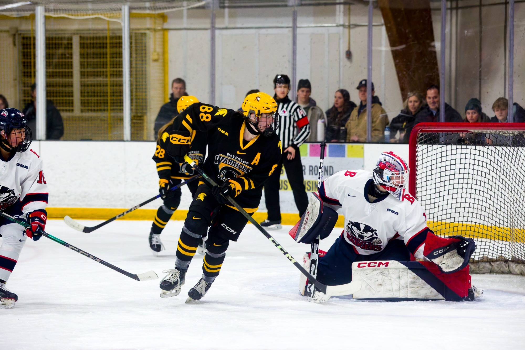 Tatum James watches a puck go by Brock's goaltender