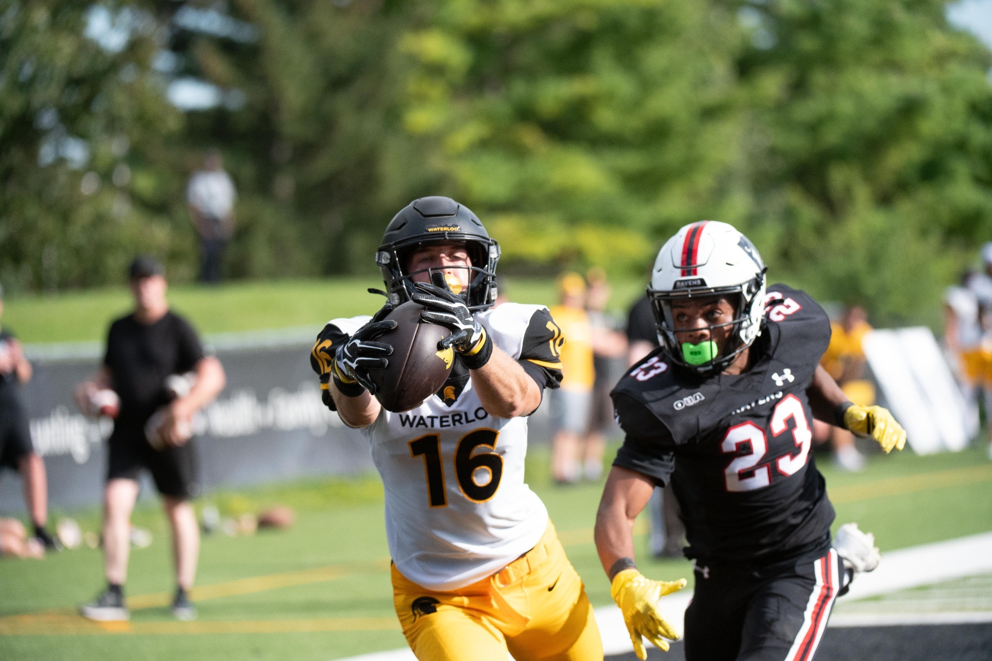 Riley Webster makes a diving catch at Carleton