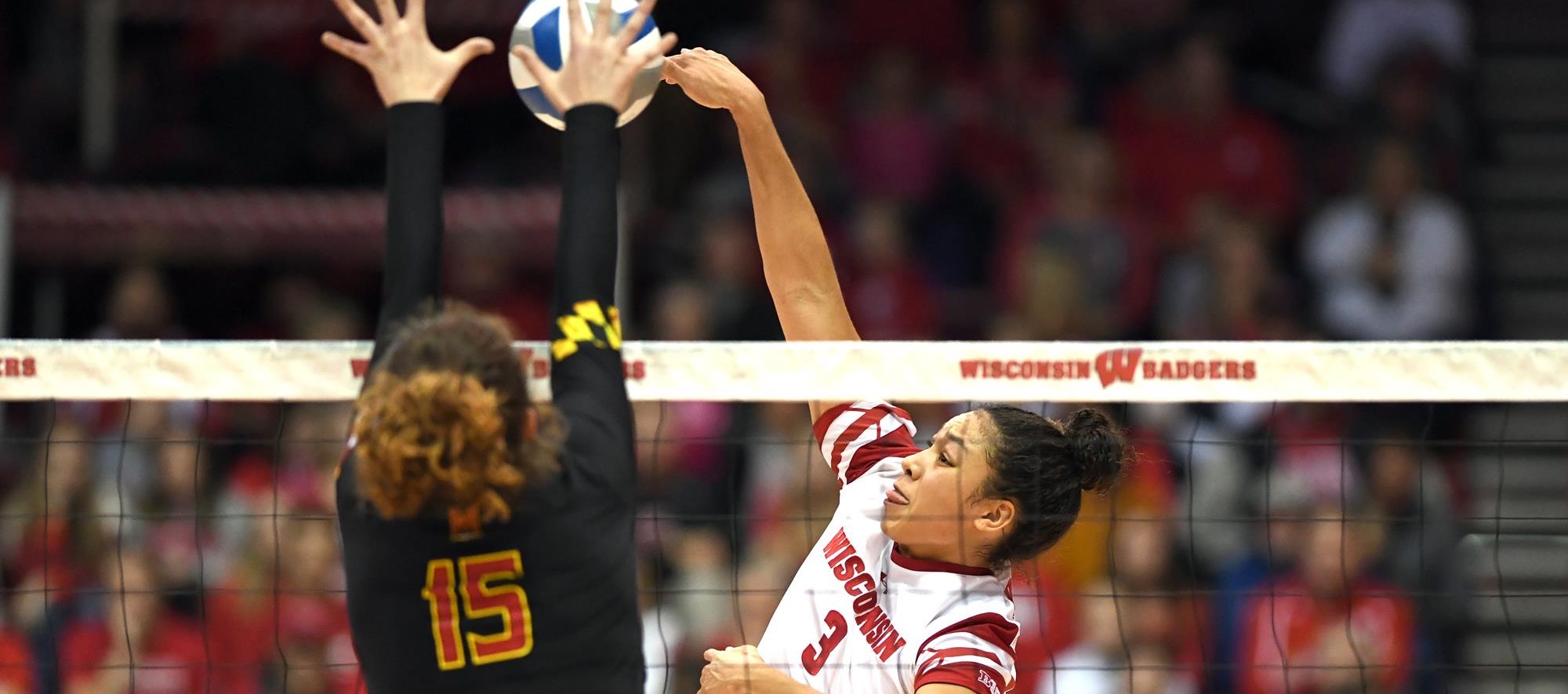 Lauryn Gillis Volleyball Wisconsin Badgers