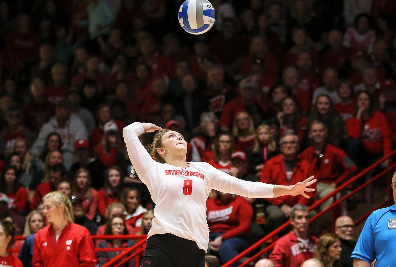 Sarah Dodd Volleyball Wisconsin Badgers