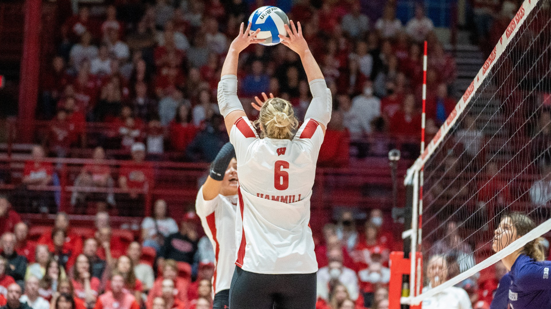 MJ Hammill Volleyball Wisconsin Badgers
