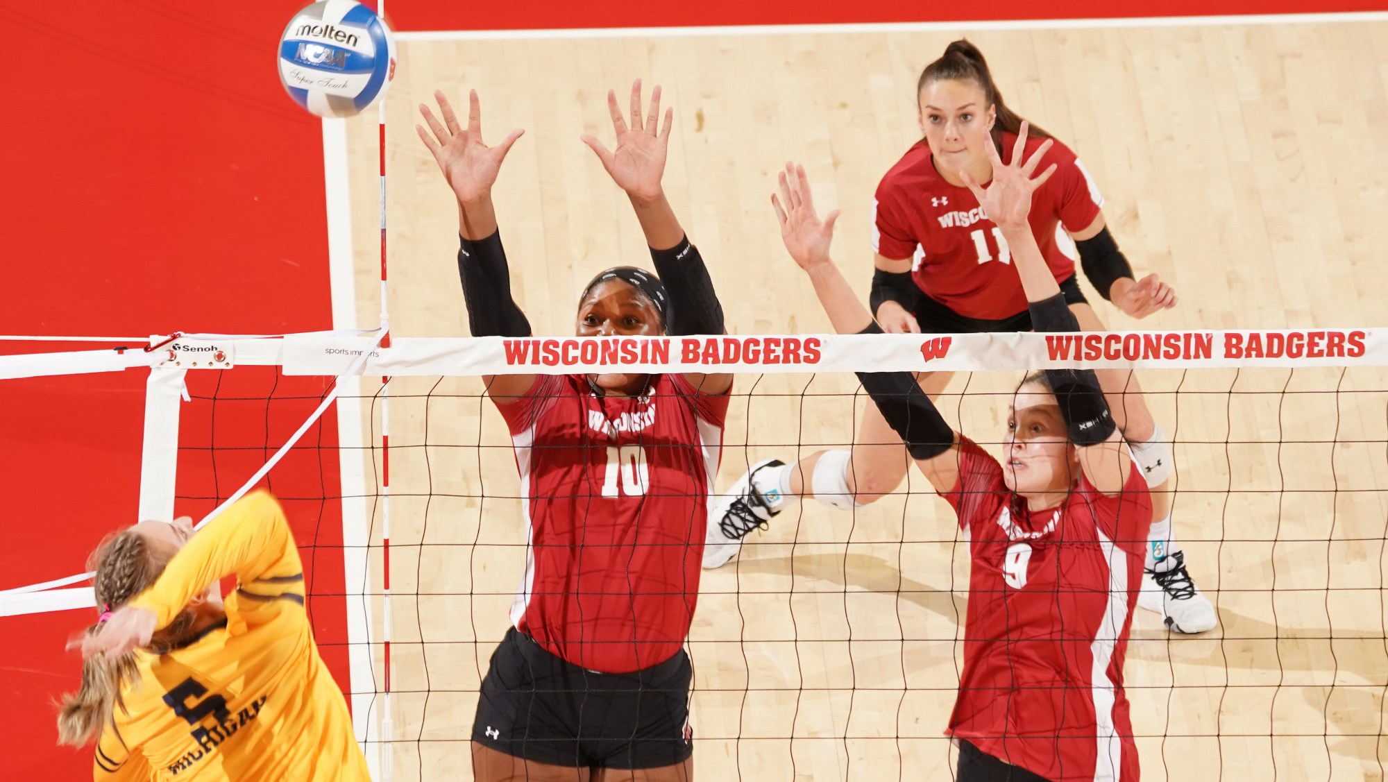 CC Crawford Volleyball Wisconsin Badgers