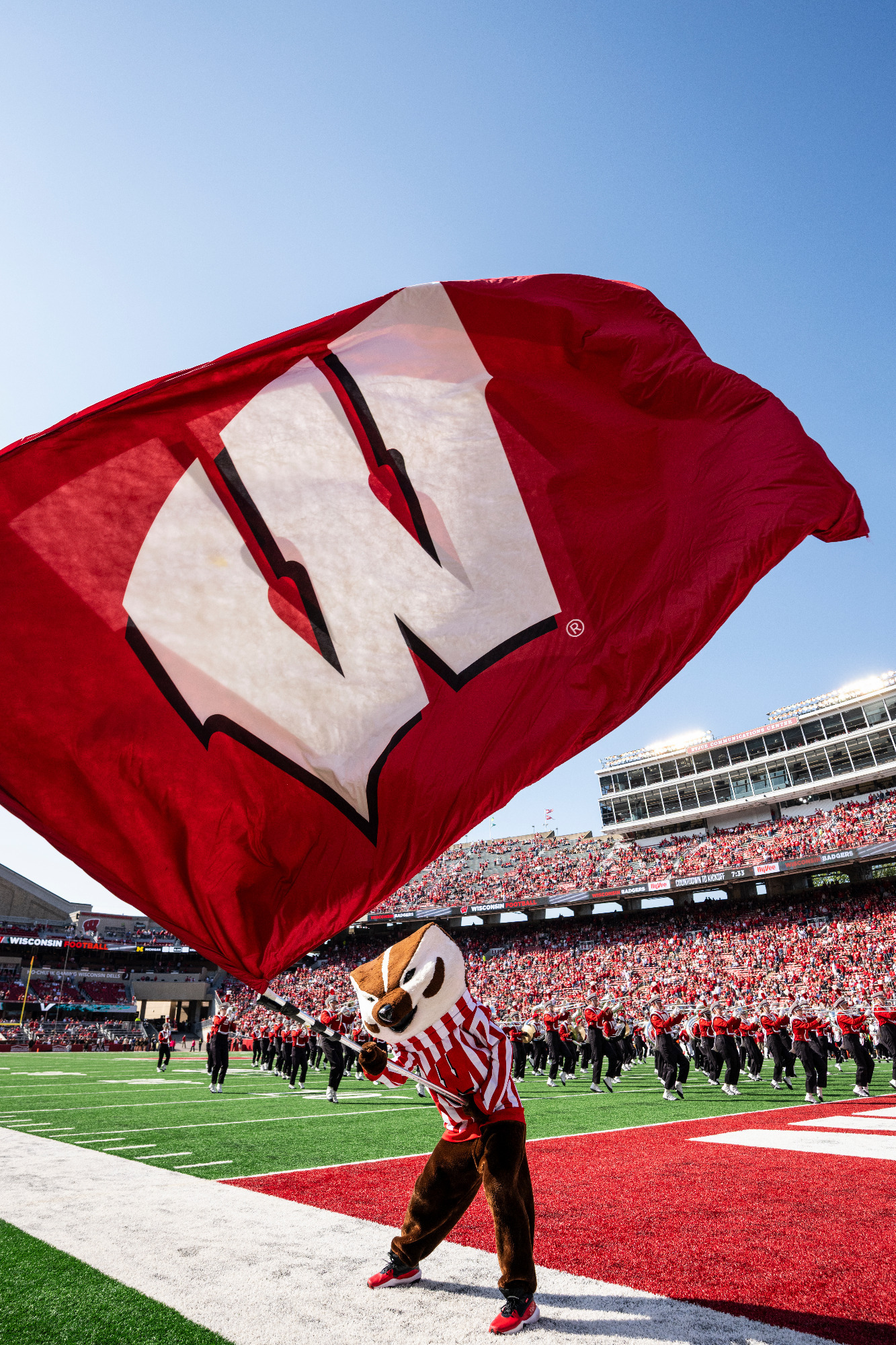 Bucky Badger representing Wisconsin Athletics
