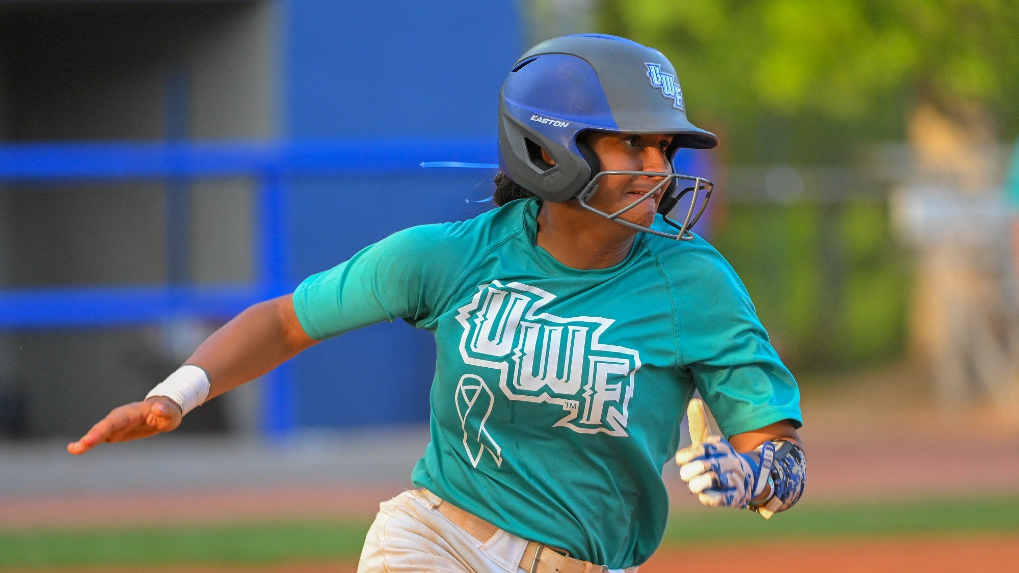 Argos Split Doubleheader, Win Series with Montevallo University of