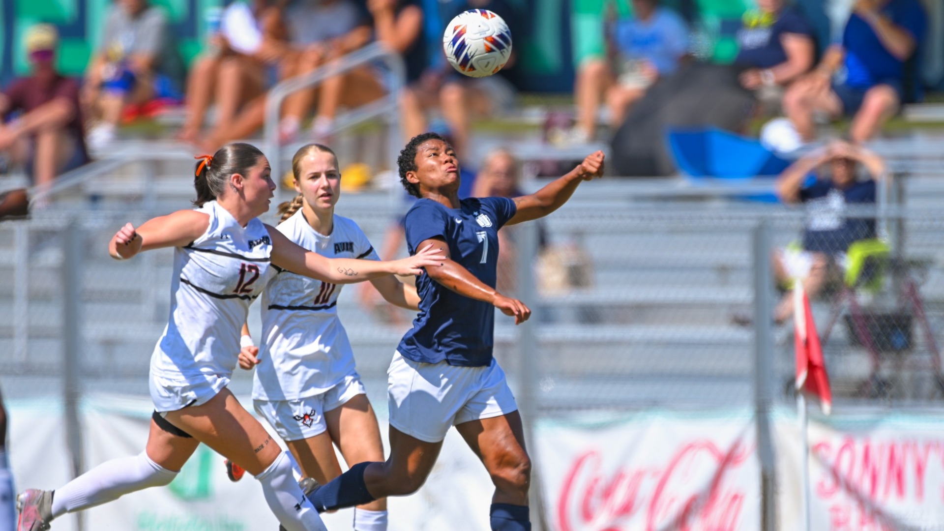 Argos Take Off to Tennessee for GSC Play at CBU and Union University