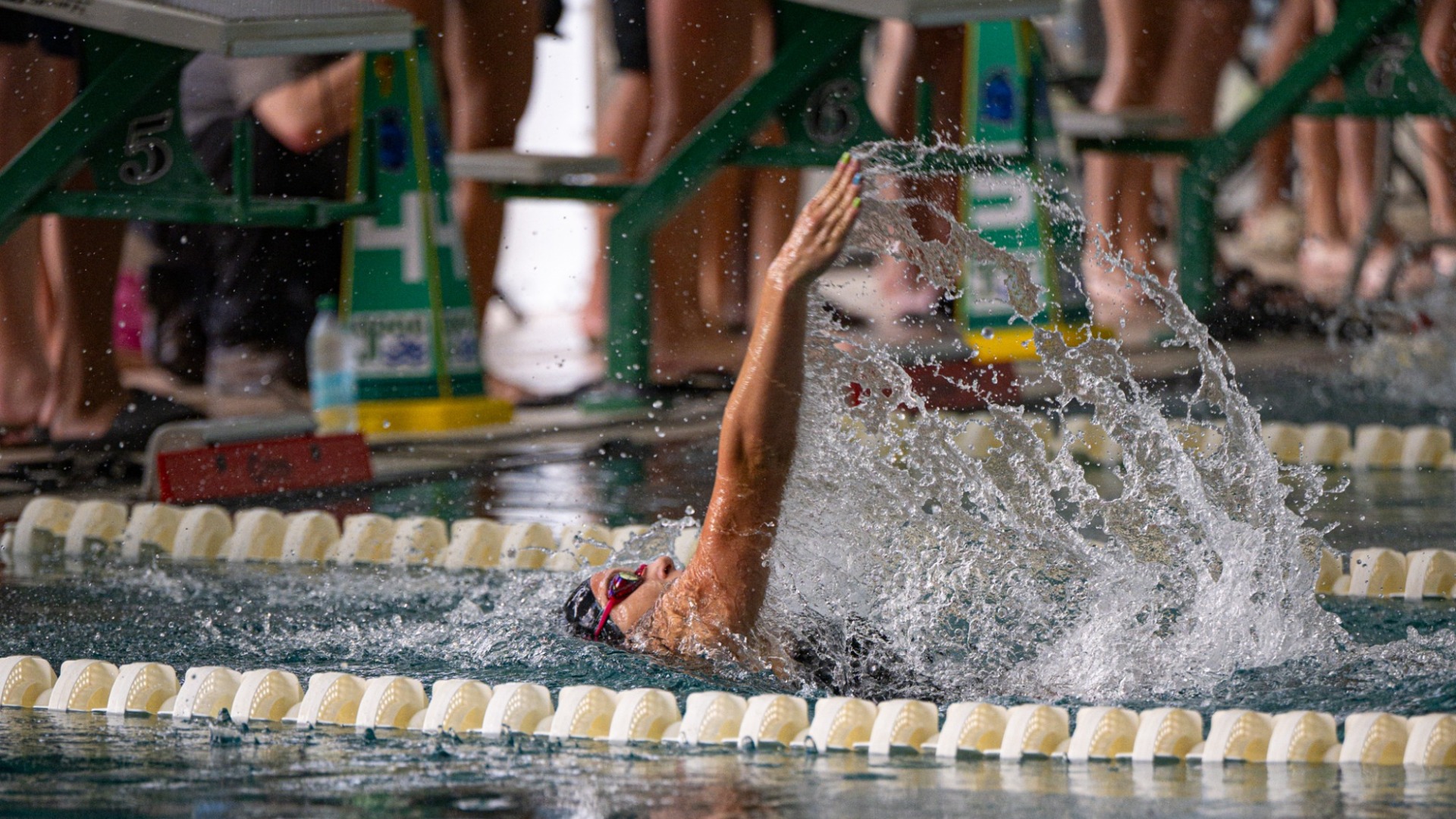 Swim and Dive - Backstroke