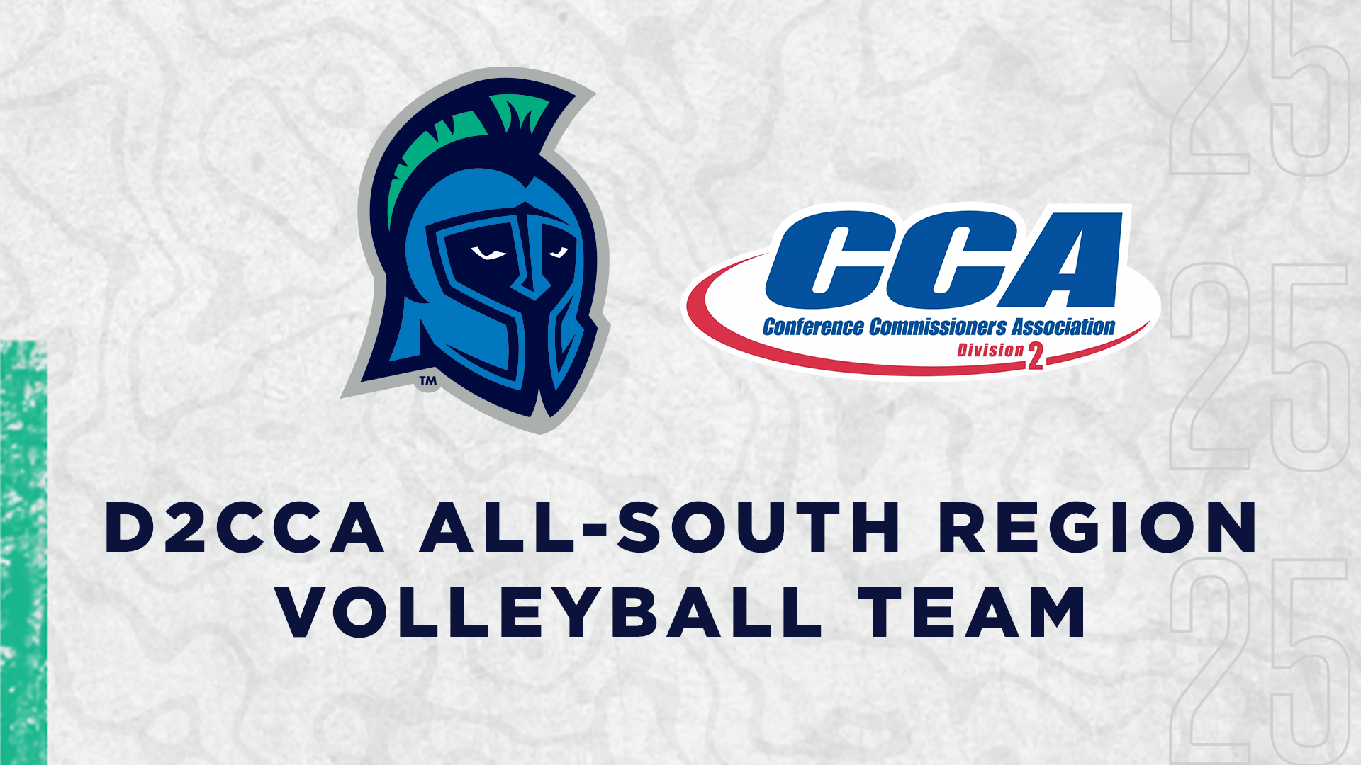 2025 D2CCA All-South Region Volleyball Teams