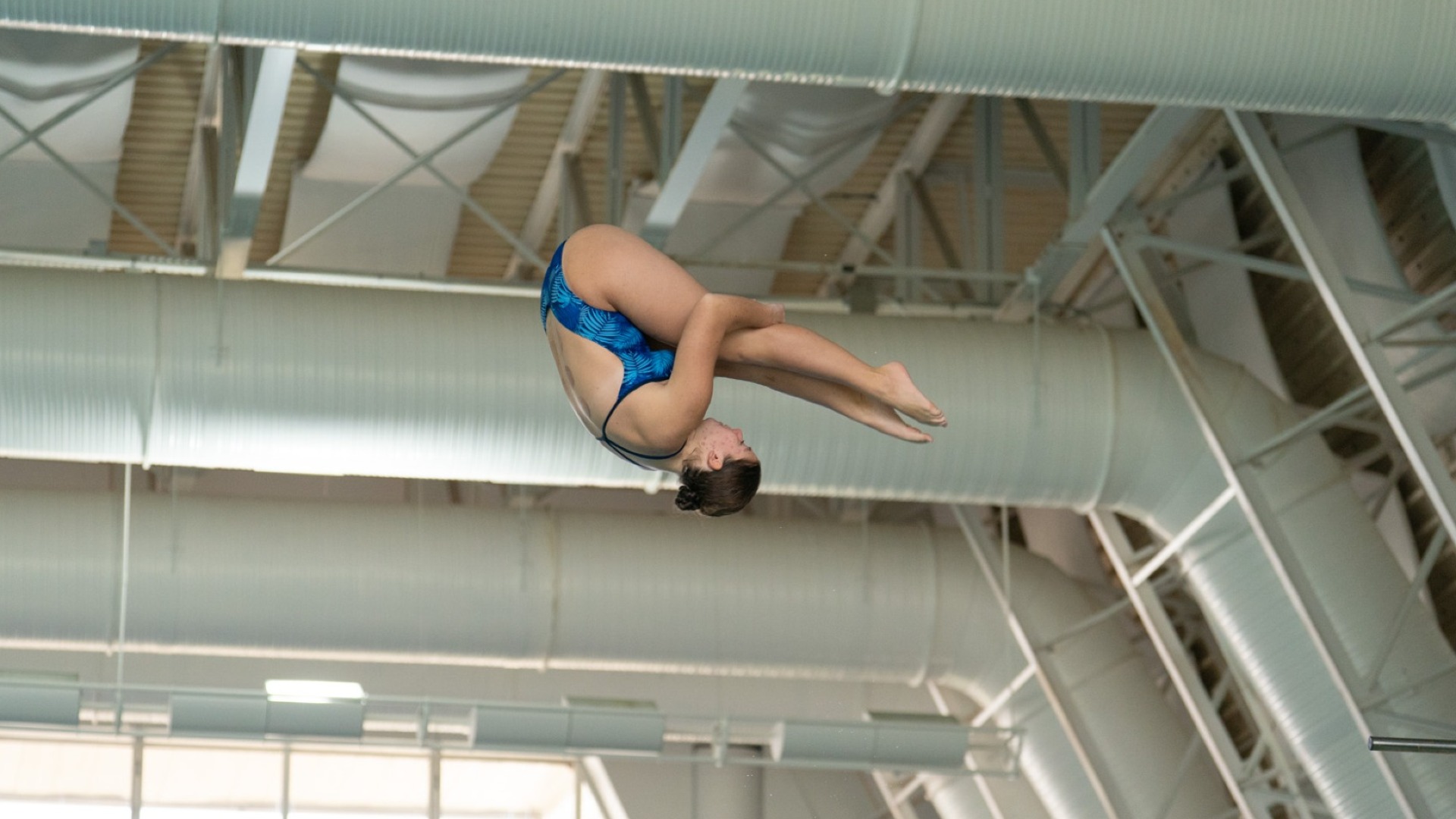 Diving - Lutzko