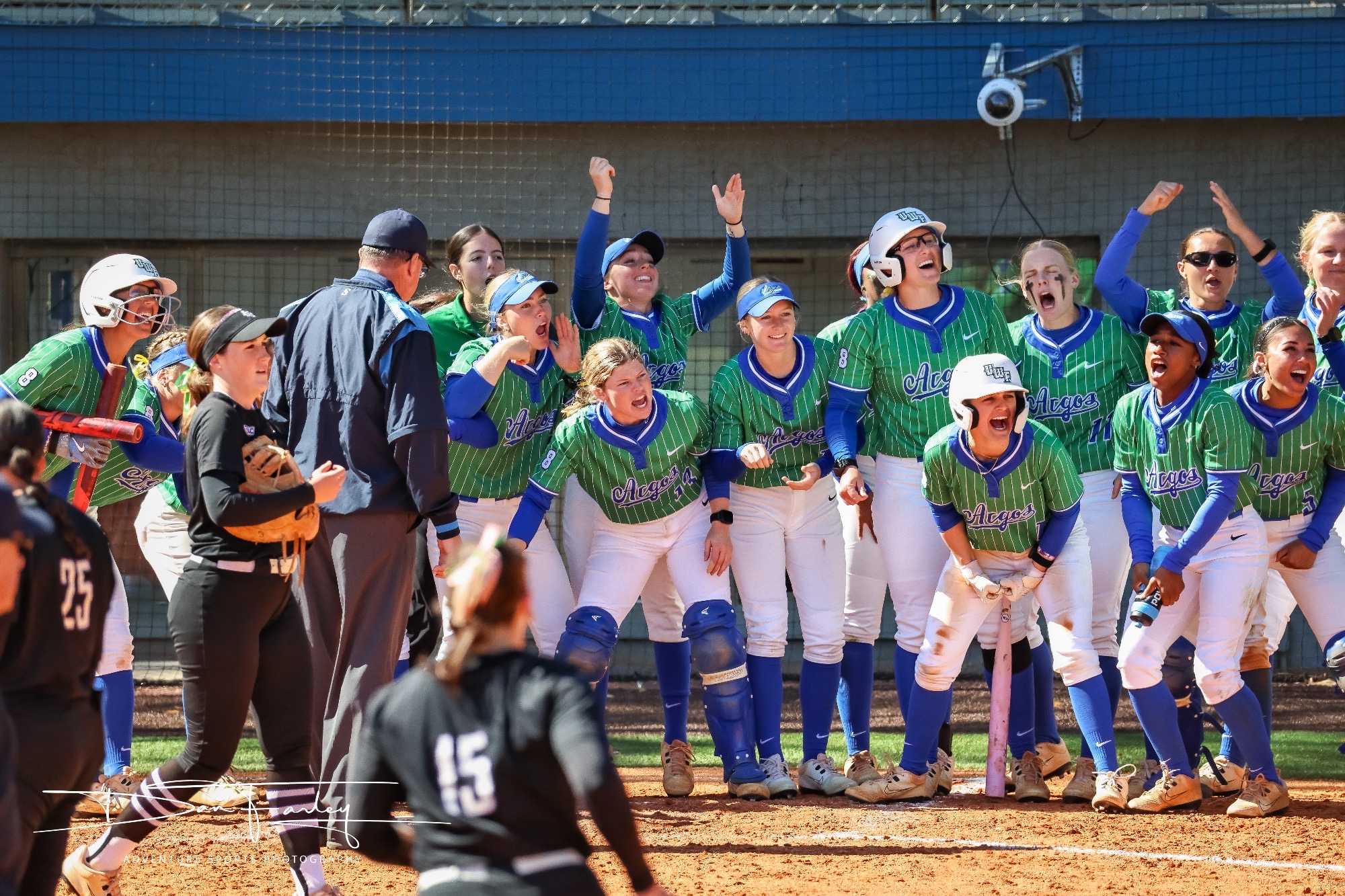 HR celebration vs SHC