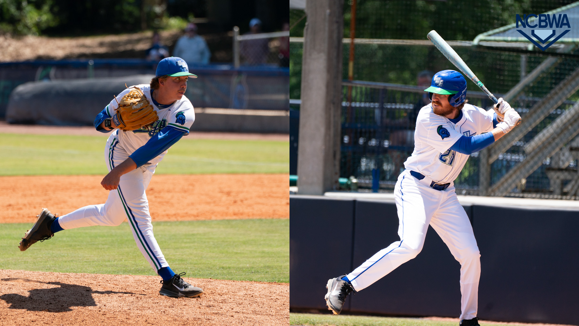 Scheetz & Stokes NCBWA All-America