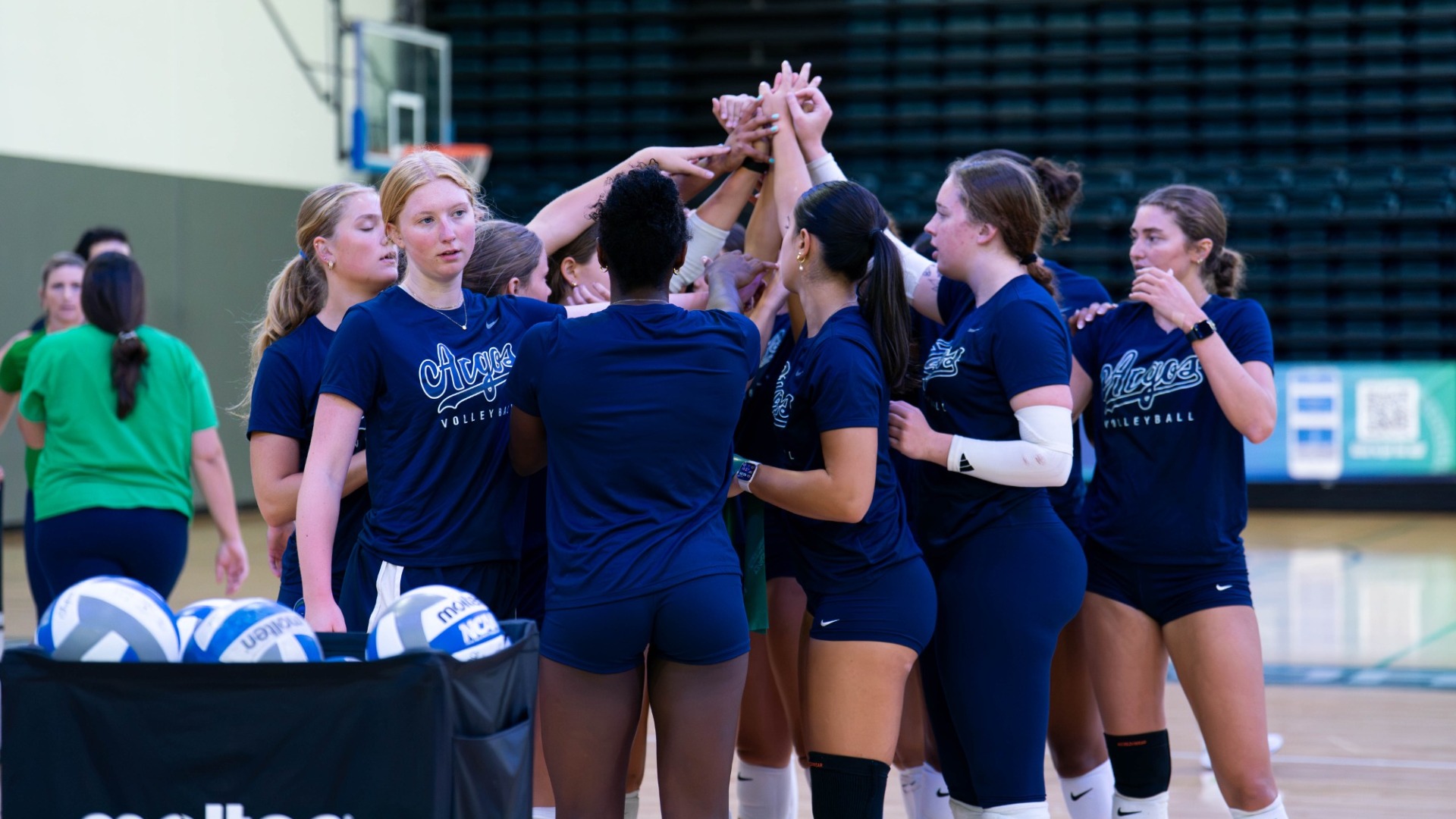 Volleyball Team Breakdown