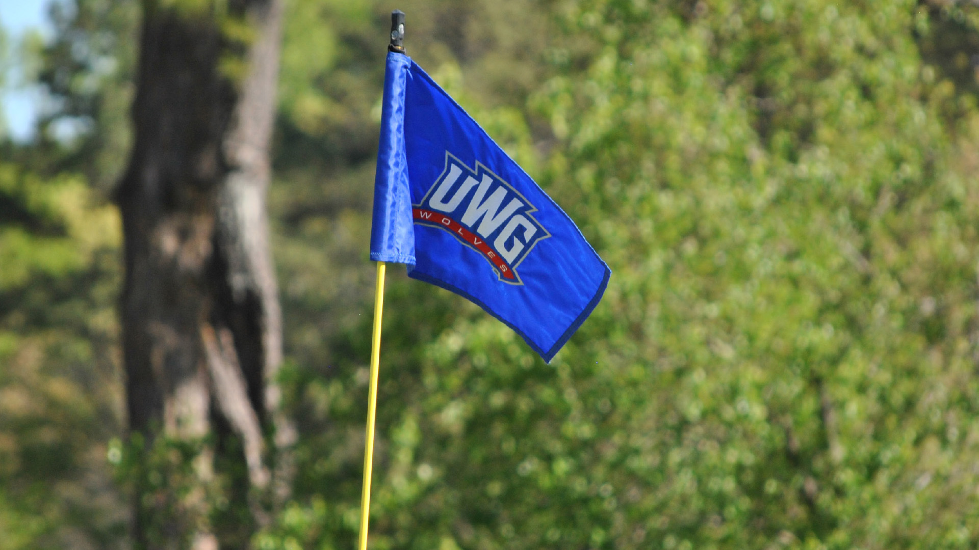Golf Flag