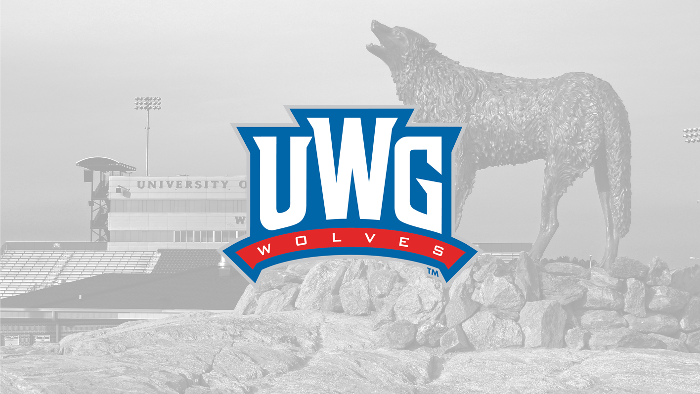 WP Wordmark Ad