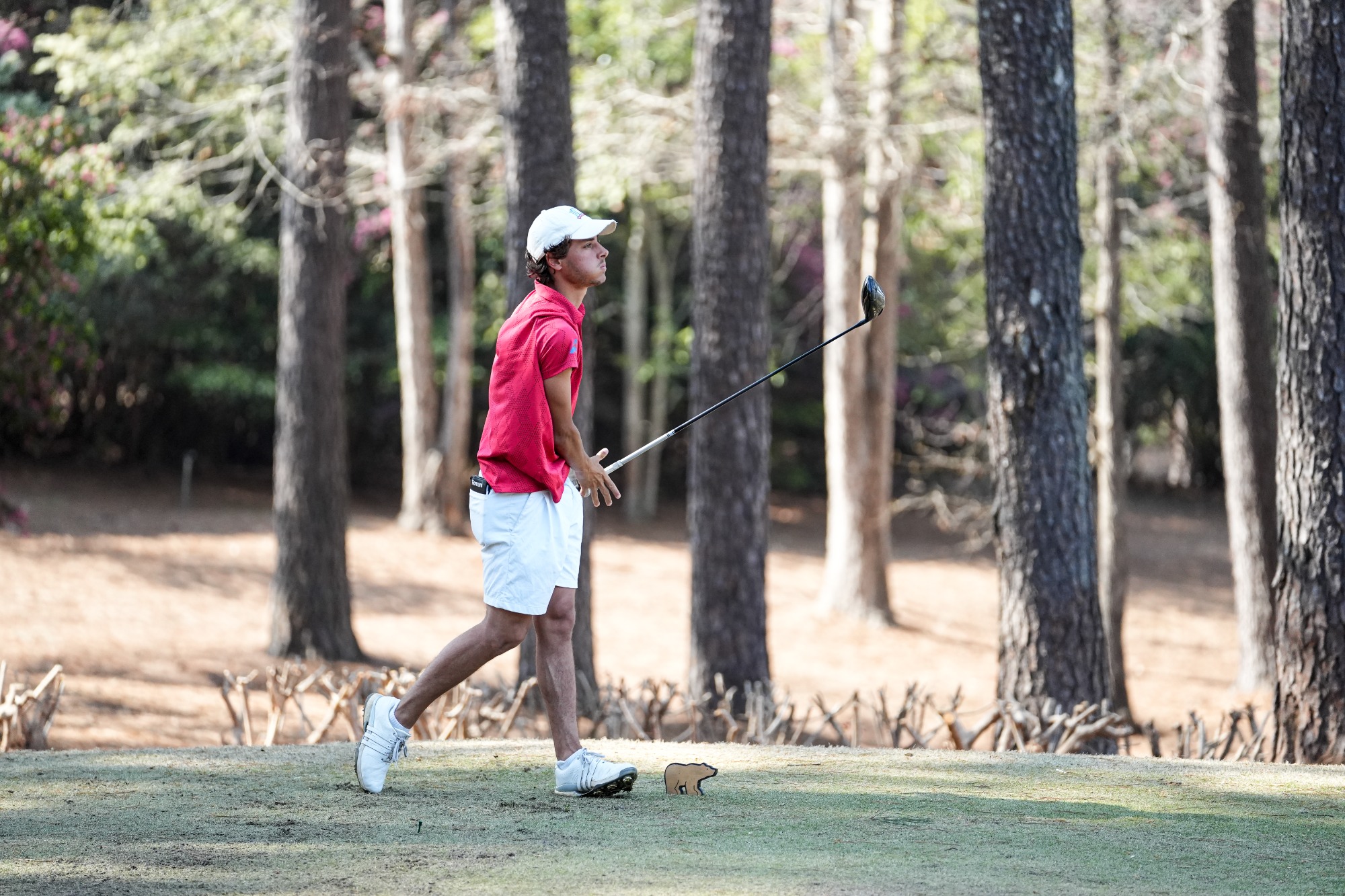 MGO at 2026 Linger Longer Invitational
UWG golfer walks on the field while wearing red polo and white shorts.