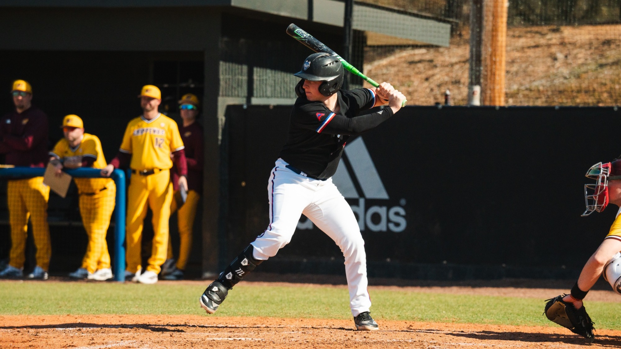 Baseball player in black shirt and white pants about to swing a green bat. Players in yellow standing behind him watching. All on a baseball field