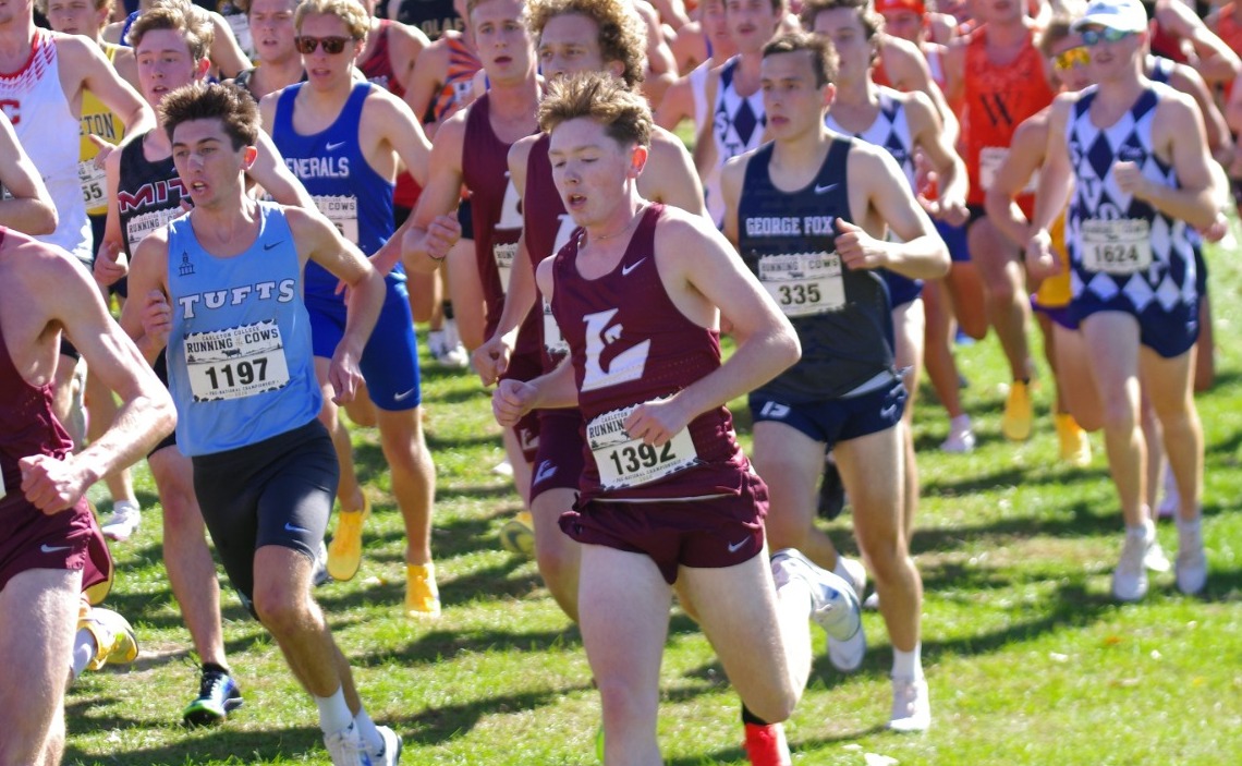 Declan Gregg Running of the Cows / National Preview