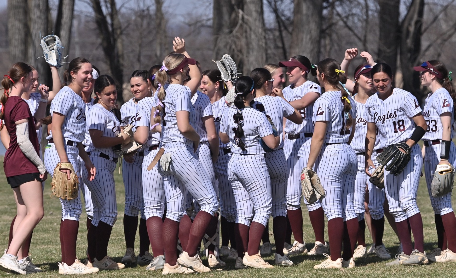 Softball Pregame Huddle 