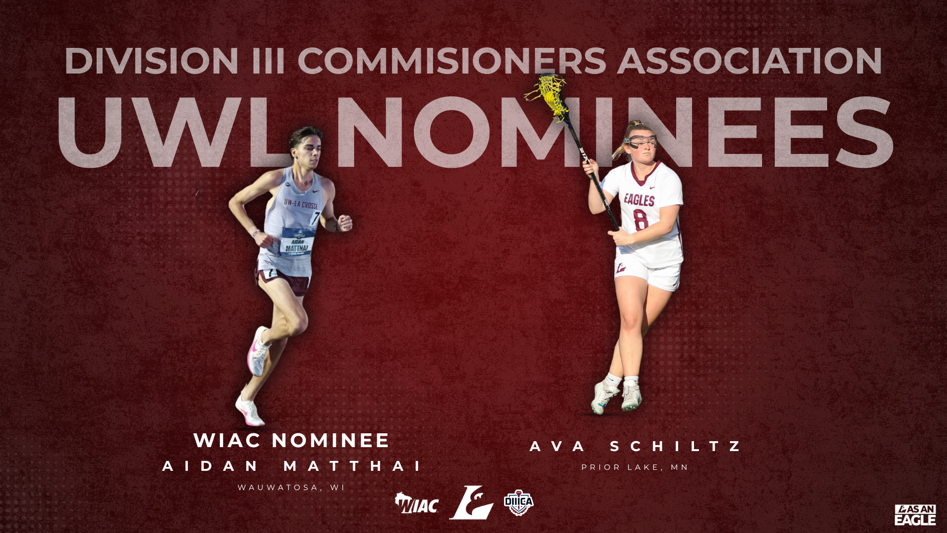 D3CA Commissioner's Award Graphic