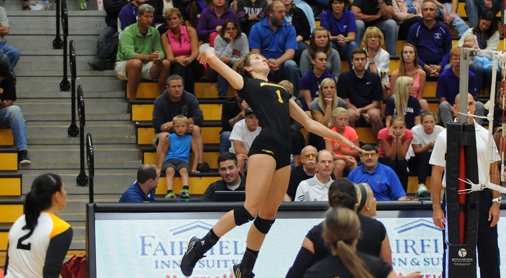 Taylor Mansfield 2016 Women's Volleyball Milwaukee Athletics