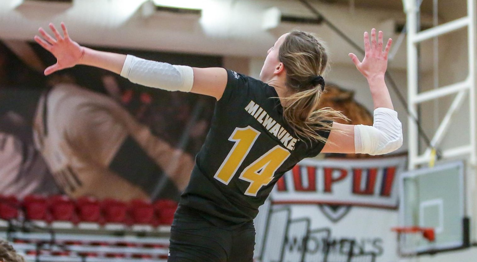 Kylie Wilks 2019 Women's Volleyball Milwaukee Athletics