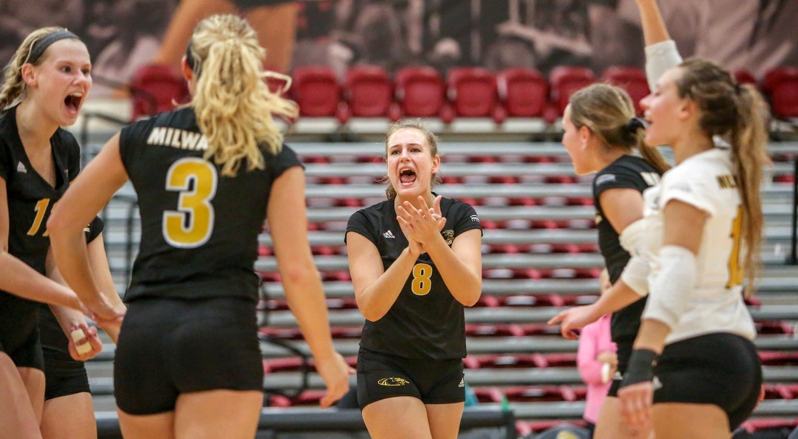 Jenn Dore 2019 Women's Volleyball Milwaukee Athletics