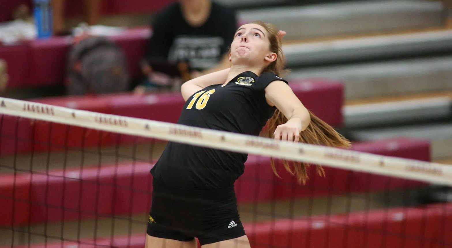 Abby Koenen 2021 Women's Volleyball Milwaukee Athletics