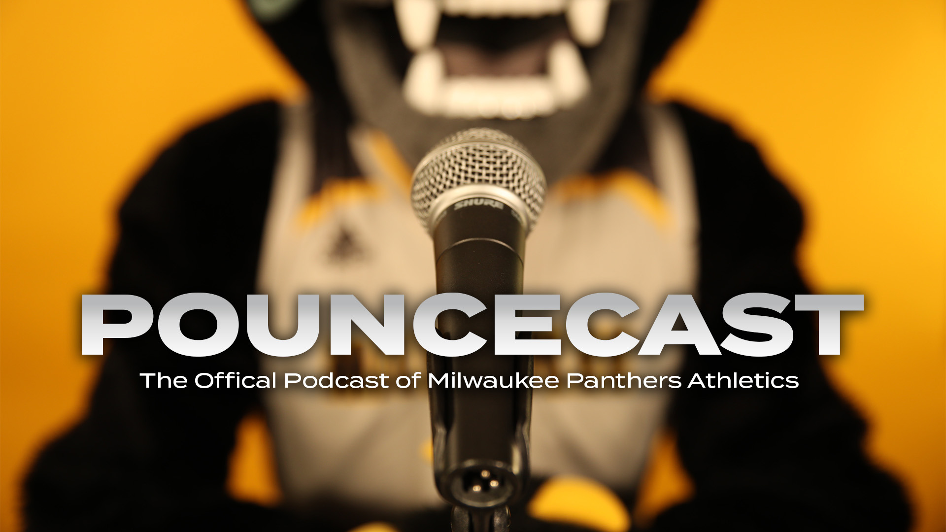 Pouncecast PounceCast Pounce Podcast