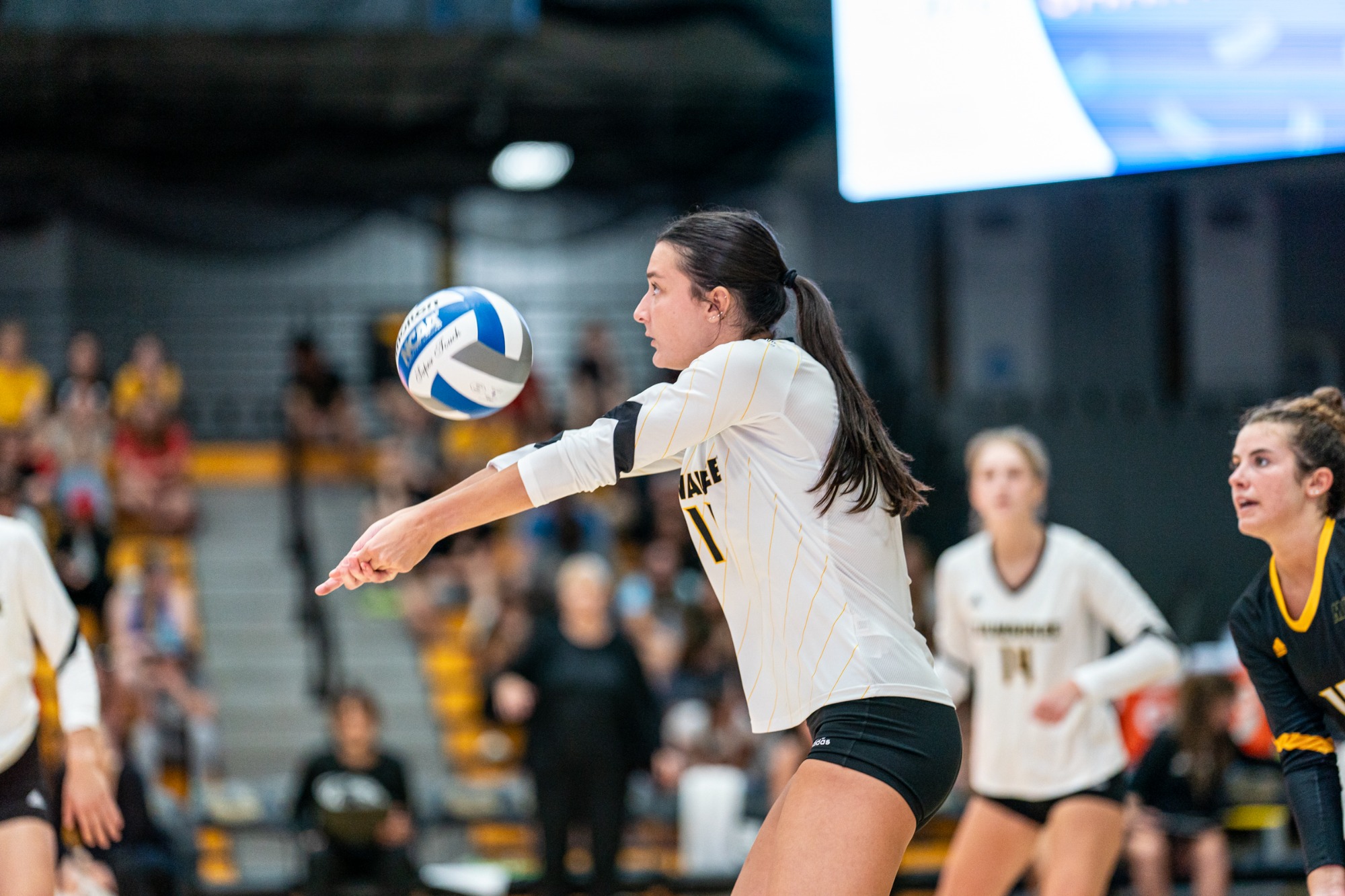 Natalie Schmitz 2024 Women's Volleyball Milwaukee Athletics