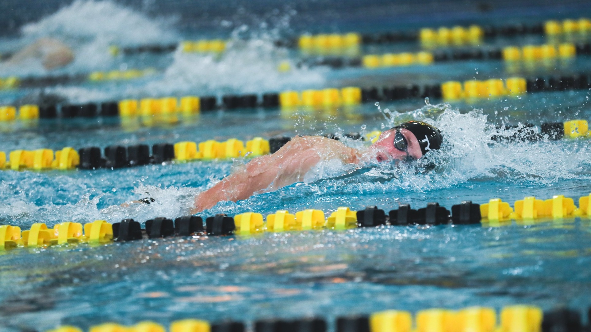 Swim & Dive Preview