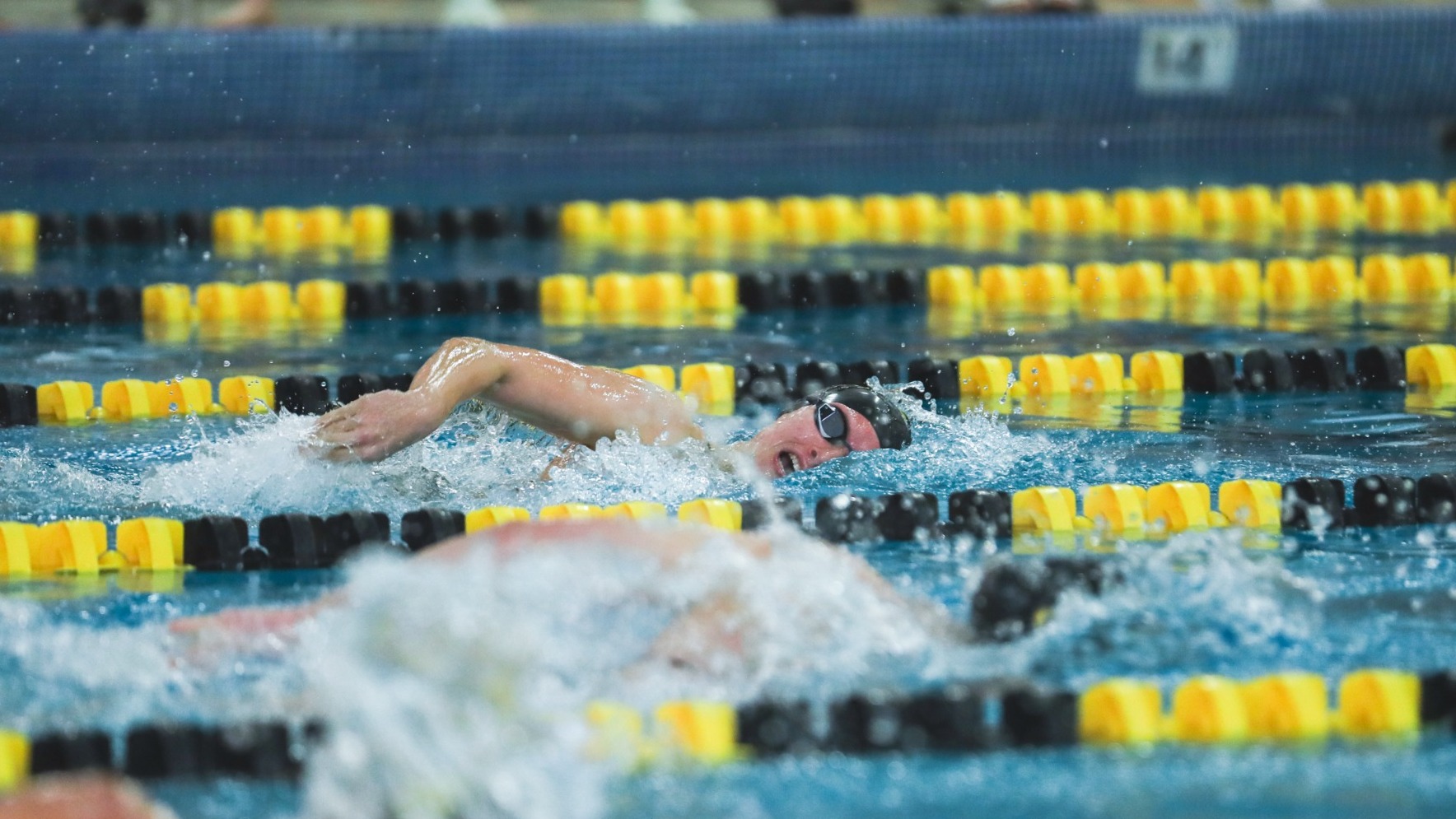 WSWIM Recap WI Showcase