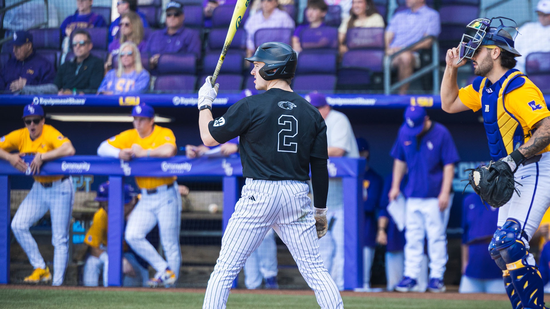 BASE Recap 2-20-2026