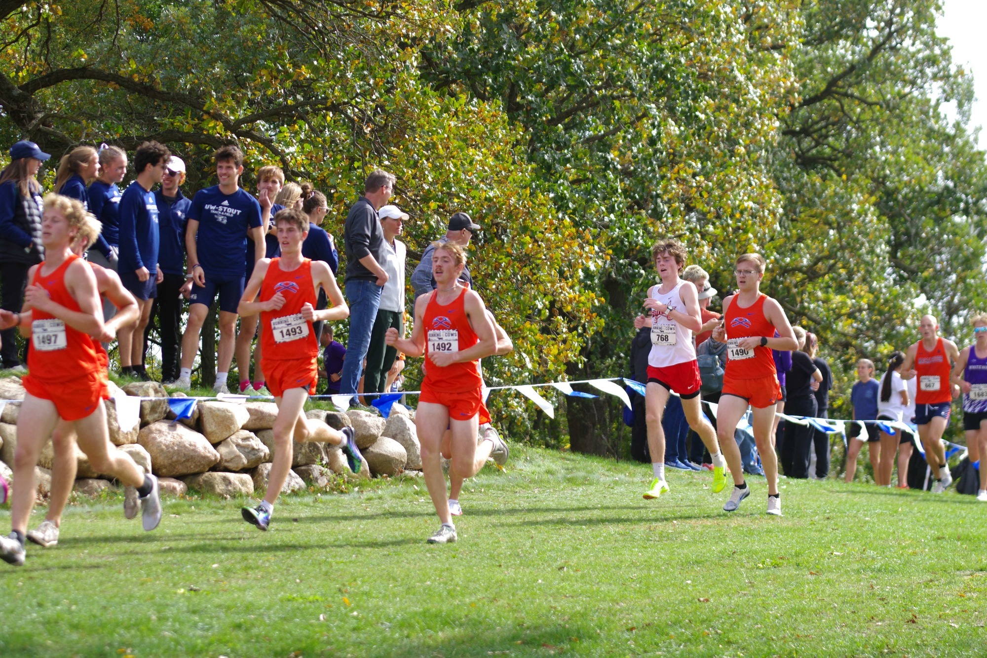 Cross Country Running of the Cows meet