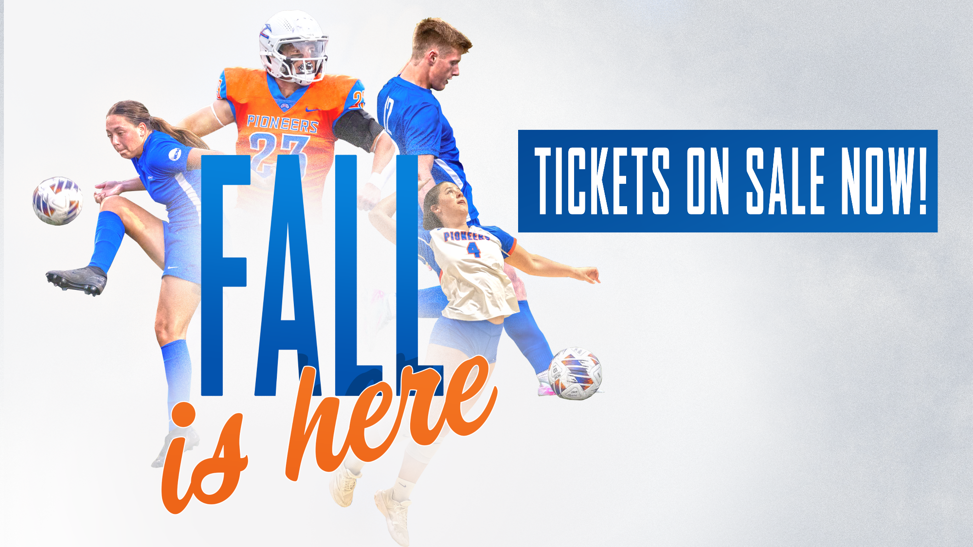 Tickets on Website